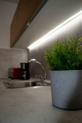 Apartamento Pozo Style