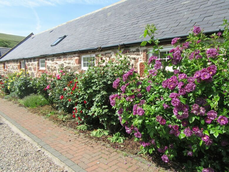 Mill Of Nethermill Holidays