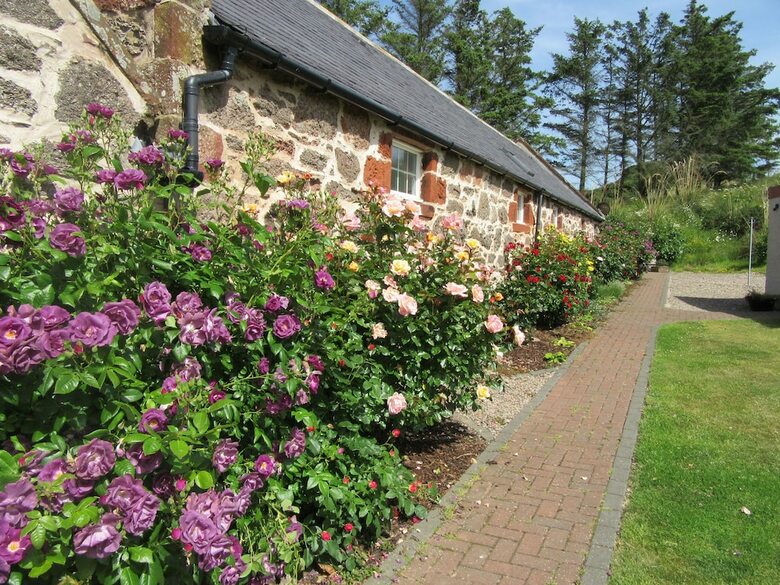 Mill Of Nethermill Holidays