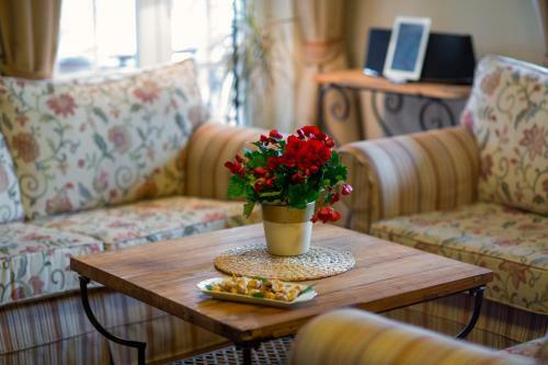 Apartamentos Villa Rosa