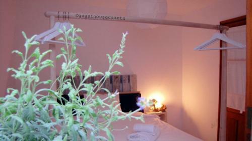 Bed & Breakfast Guesthouse Ca'art�