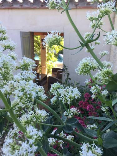 Apartamento Les Santolines - Studio � La Campagne