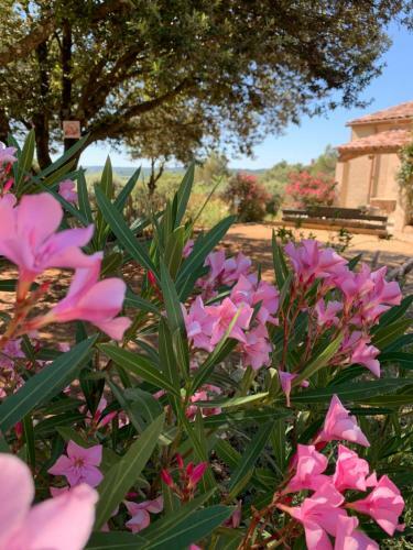 Apartamento Les Santolines - Studio � La Campagne