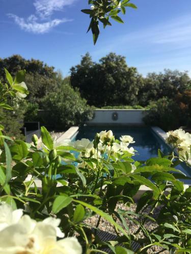 Apartamento Les Santolines - Studio Retro
