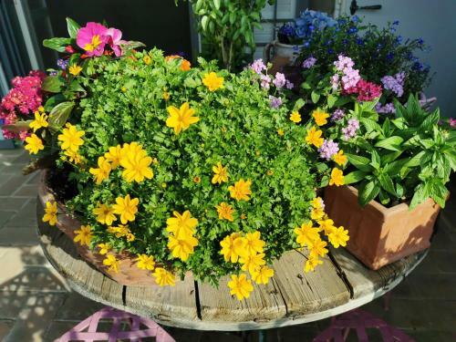 Bed & Breakfast Le Logge Ritrovate