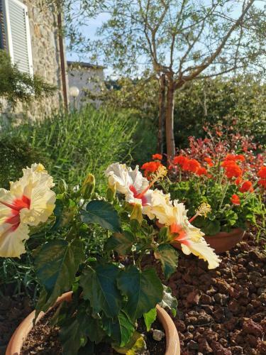 Bed & Breakfast Le Logge Ritrovate