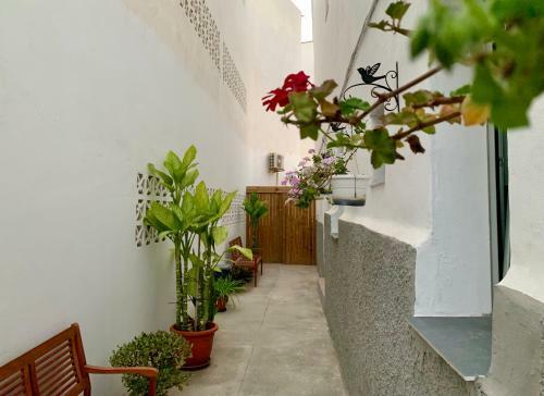 Apartamento Arguineguin Beach Lux Solarium Suit