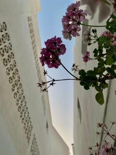 Apartamento Arguineguin Beach Lux Solarium Suit