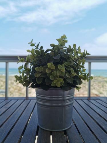 Apartamento Beachfront At Perellonet