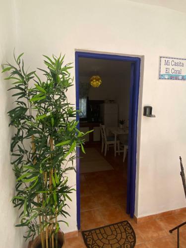 Mi Casita El Coral