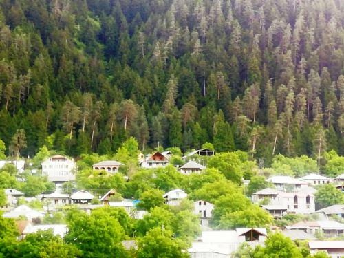 Lodge Guest House Ilia