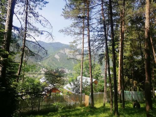 Lodge Guest House Ilia