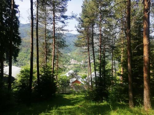 Lodge Guest House Ilia