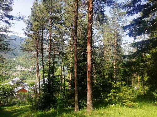 Lodge Guest House Ilia