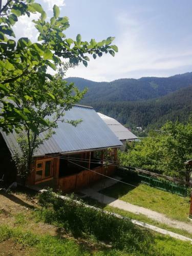 Lodge Guest House Ilia