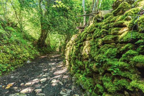 Terra Ecoturismo Casa La Cueva