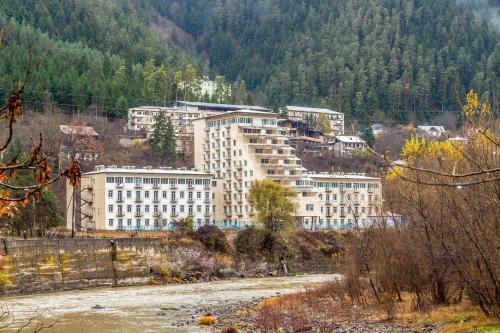 Apartment Borjomi