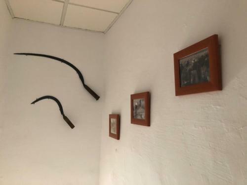 Masia Tarranc
