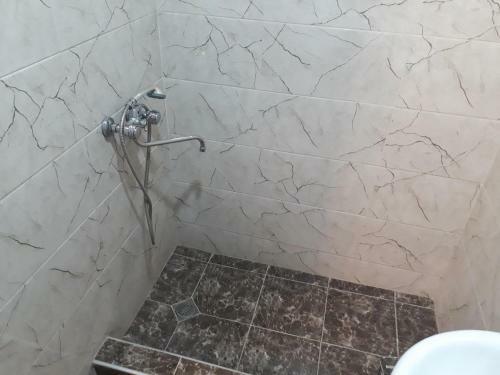 Hostal Family Guest House Didebuli