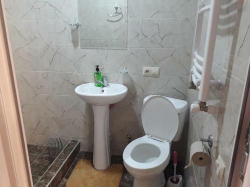 Hostal Family Guest House Didebuli