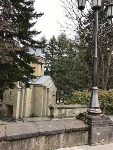 3 Room Apartment In Borjomi