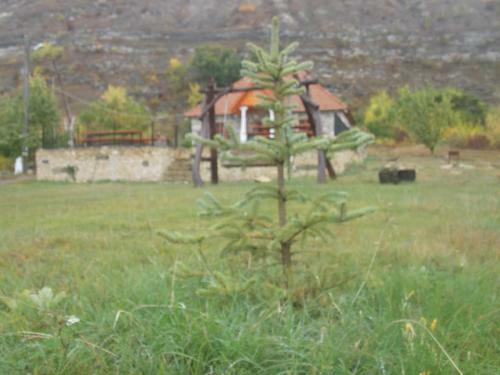 Hostal Casa Agricultorului Varzari