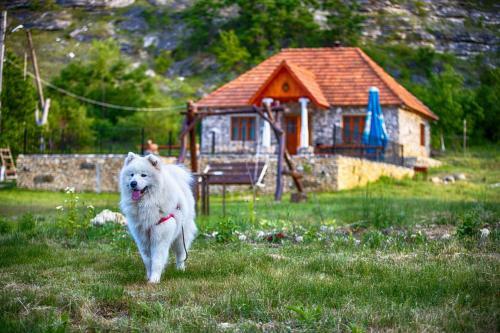 Hostal Casa Agricultorului Varzari