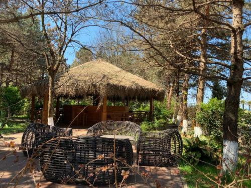 2 Bedroom Apartment In Oasis