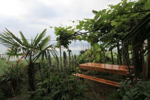 Apartamento Hitas House