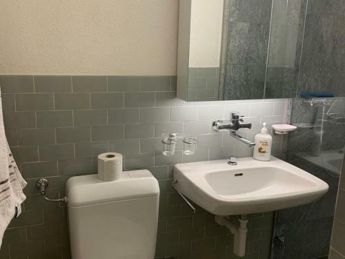 Apartment Sunnmatt 128