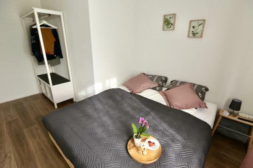 Alp Apartments