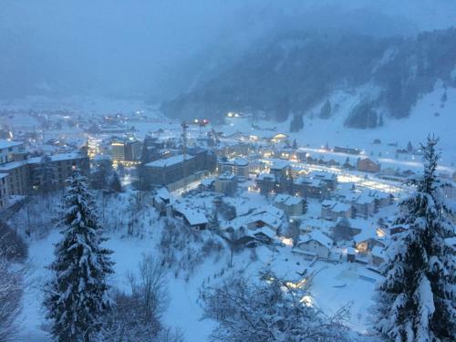 Nice Apartment Engelberg