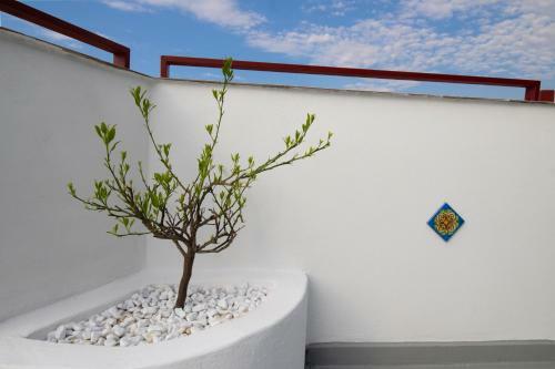 Apartamento Duca D'aosta Terrace