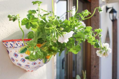 Apartamento Duca D'aosta Terrace