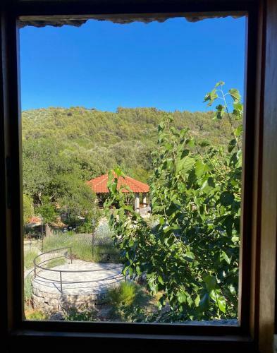 Apartman Robi
