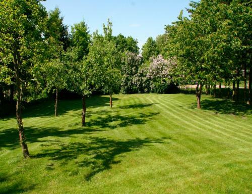 Apartamento Wohnung In Alt Schwerin - A56030