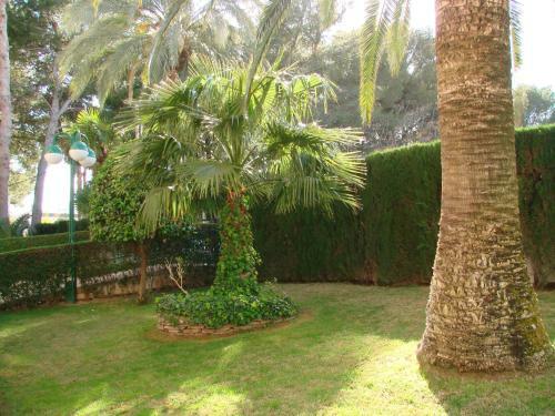 Playamar Altamar Apartments