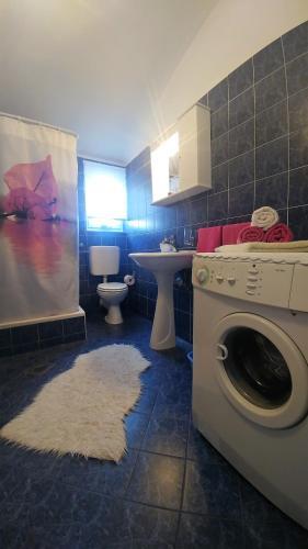 Apartments & Rooms Milena