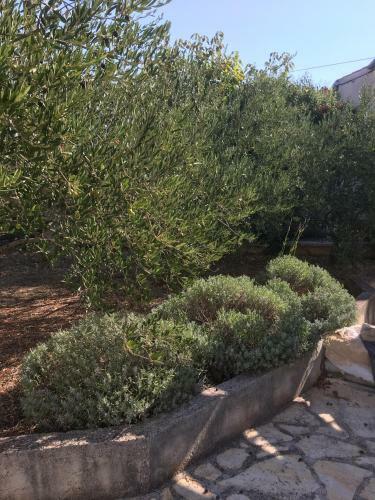 Apartamento Galeb