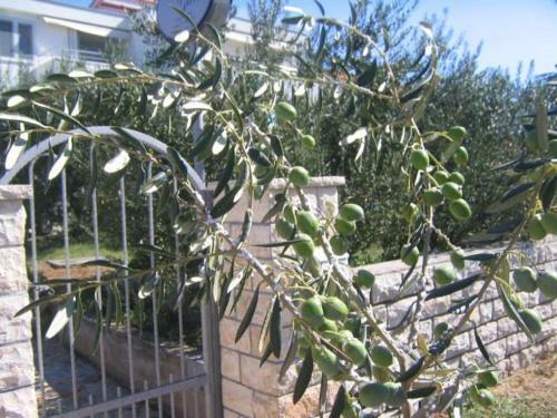Apartamento Galeb
