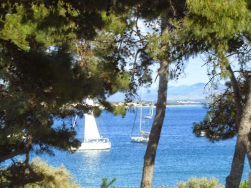 Apartamentos Villa Hedona