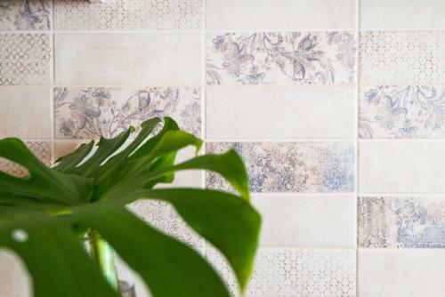 Apartments Dalmatino