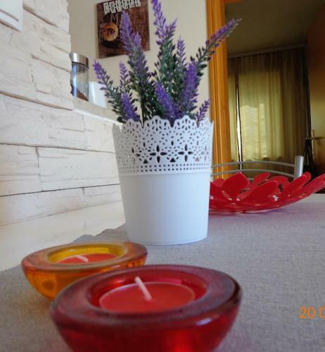 Apartman Monika Vodice