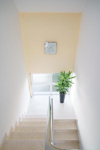 Apartments Tamaris
