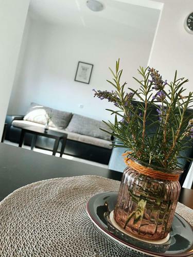 Apartments Villa Maria