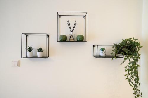 Yellow Fresh Apartment-city Center