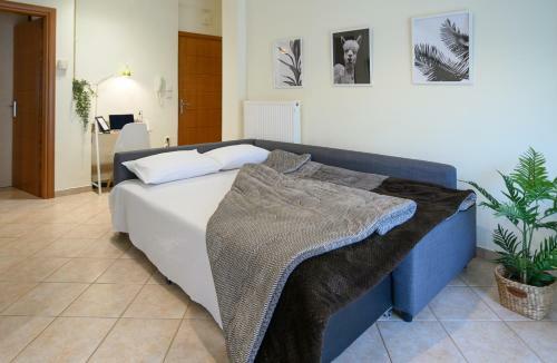 Yellow Fresh Apartment-city Center