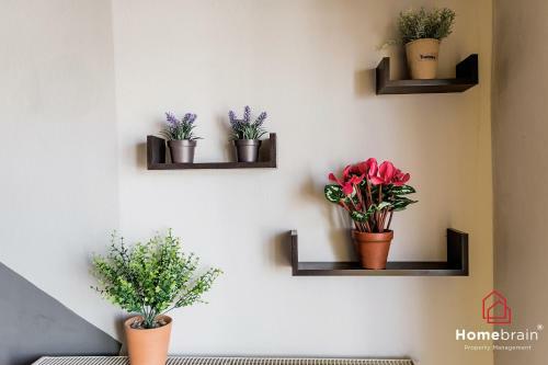 Apartamento Cozy City Suite