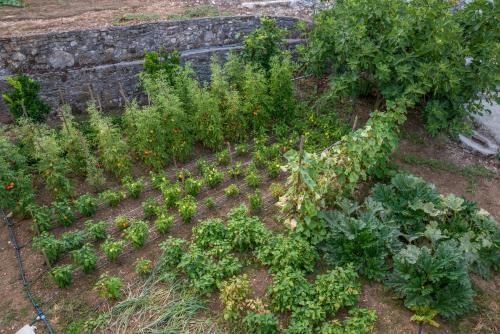 Apartamento Village House Dunja