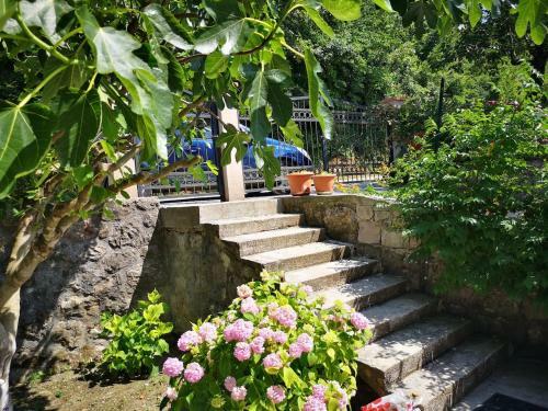 Guest House Majstorina